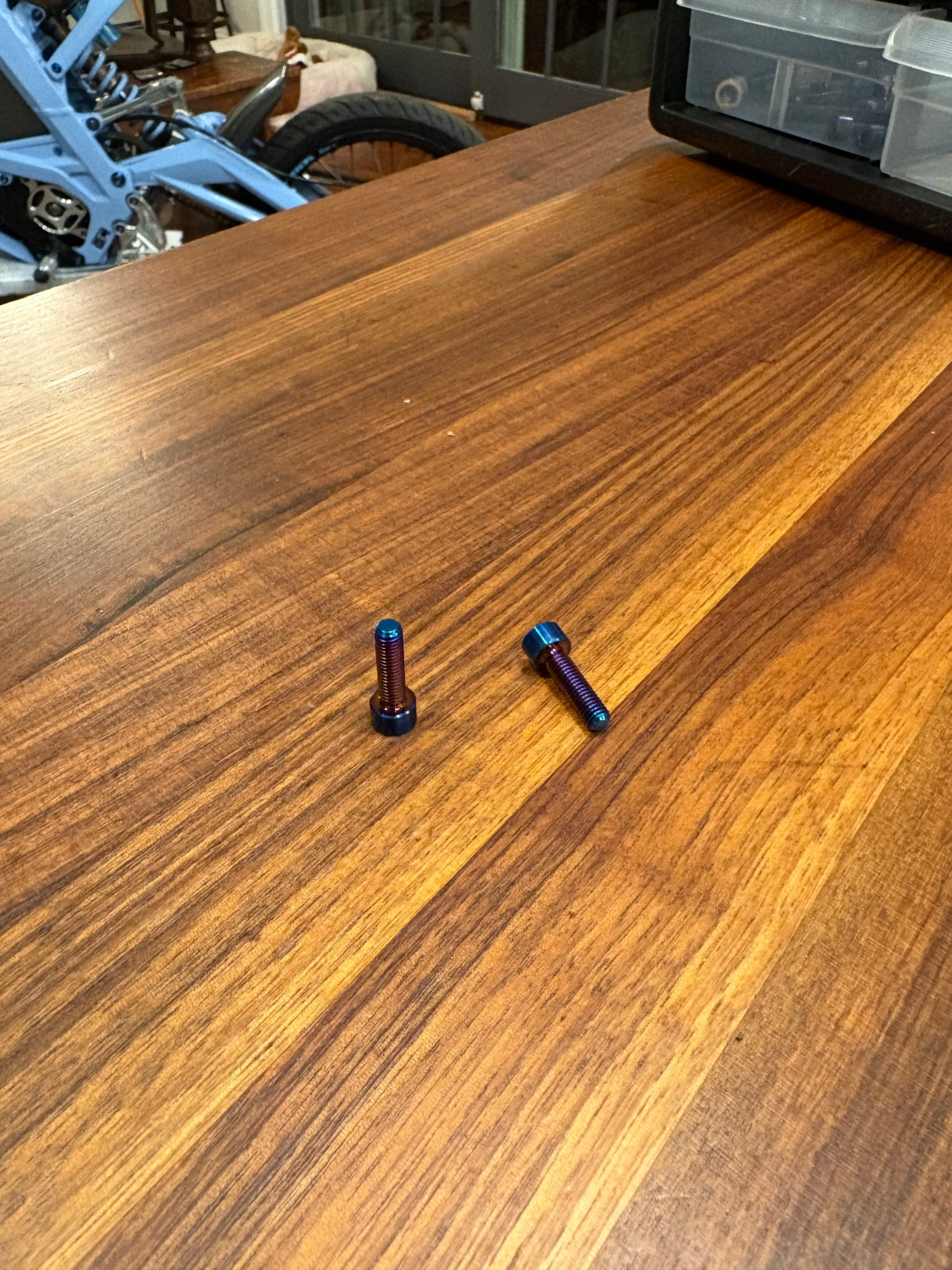 Prickly S2 Mount Titanium Bolts (set of 2)