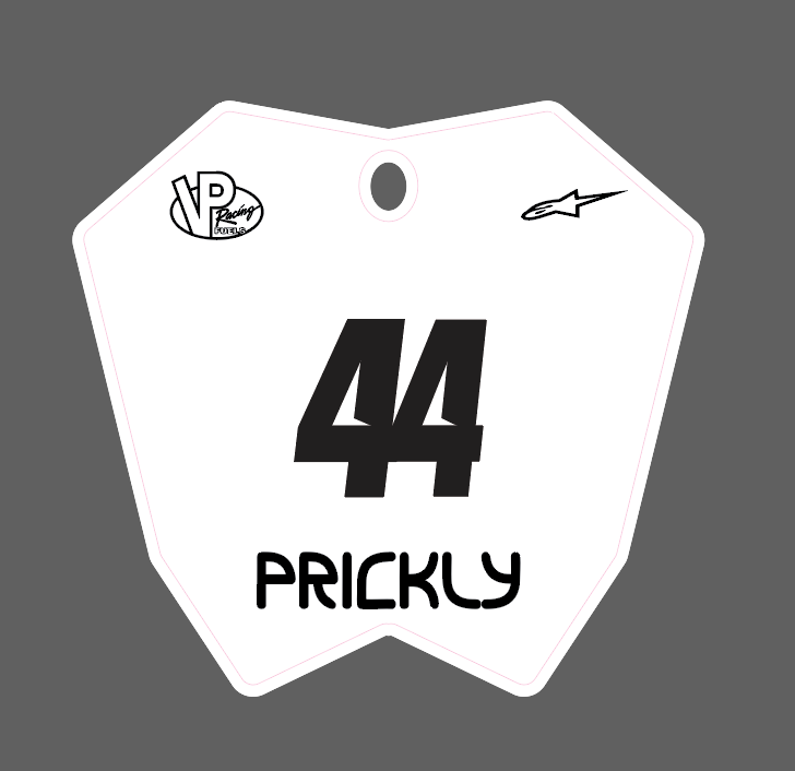 Custom Rtr Plate Decal